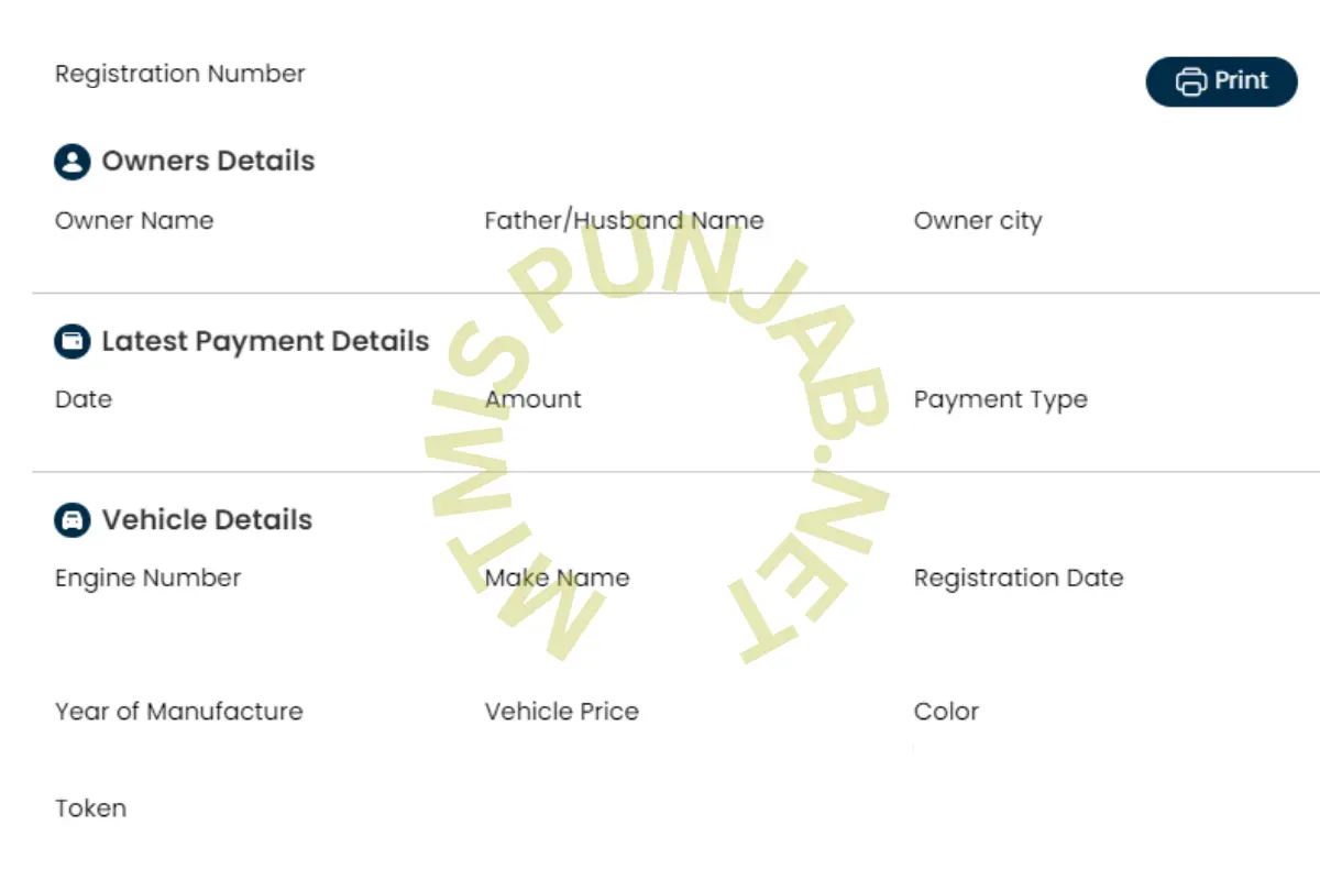 how to use mtmispunjab.net