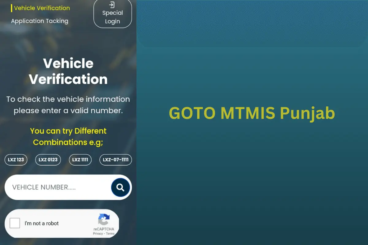 how to use mtmispunjab.net