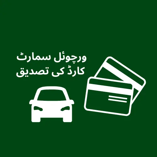virtual smart card
